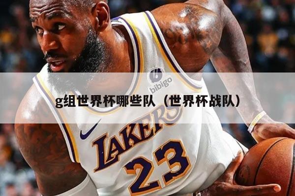 g組世界杯哪些隊(duì)（世界杯戰(zhàn)隊(duì)）