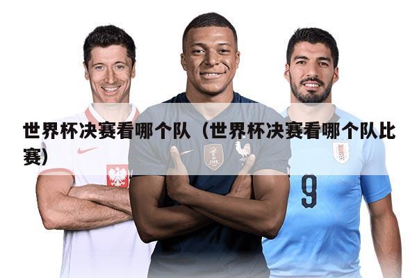 世界杯決賽看哪個(gè)隊(duì)（世界杯決賽看哪個(gè)隊(duì)比賽）