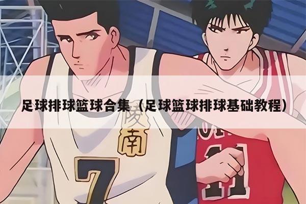 足球排球籃球合集（足球籃球排球基礎(chǔ)教程）