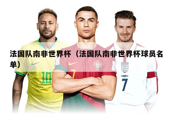 法國(guó)隊(duì)南非世界杯（法國(guó)隊(duì)南非世界杯球員名單）