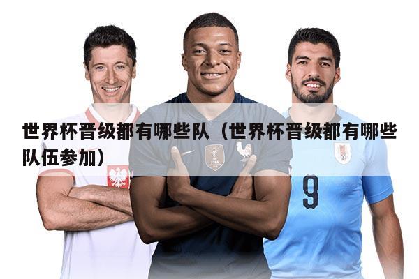 世界杯晉級(jí)都有哪些隊(duì)（世界杯晉級(jí)都有哪些隊(duì)伍參加）