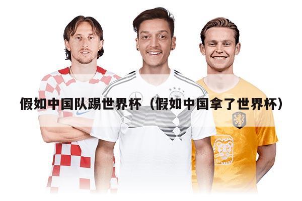 假如中國隊踢世界杯（假如中國拿了世界杯）