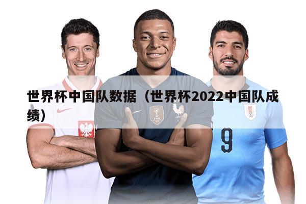 世界杯中國(guó)隊(duì)數(shù)據(jù)（世界杯2022中國(guó)隊(duì)成績(jī)）
