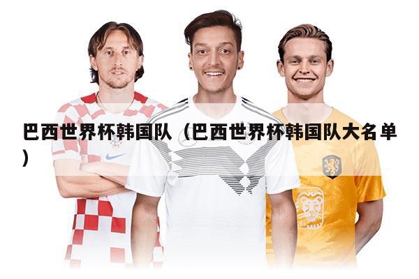 巴西世界杯韓國隊（巴西世界杯韓國隊大名單）