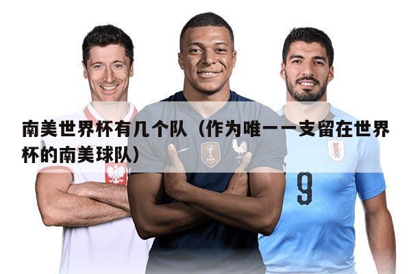 南美世界杯有幾個隊（作為唯一一支留在世界杯的南美球隊）