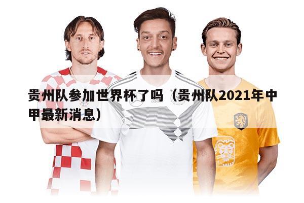 貴州隊參加世界杯了嗎（貴州隊2021年中甲最新消息）