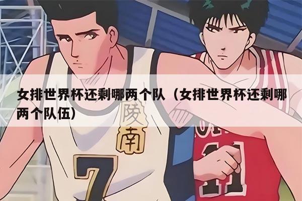 女排世界杯還剩哪兩個隊（女排世界杯還剩哪兩個隊伍）