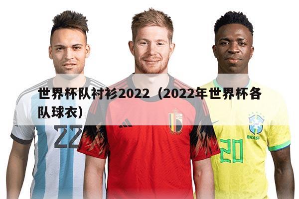 世界杯隊(duì)襯衫2022（2022年世界杯各隊(duì)球衣）