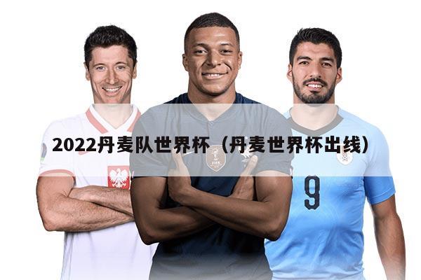 2022丹麥隊(duì)世界杯（丹麥?zhǔn)澜绫鼍€）