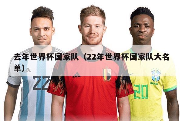 去年世界杯國家隊（22年世界杯國家隊大名單）