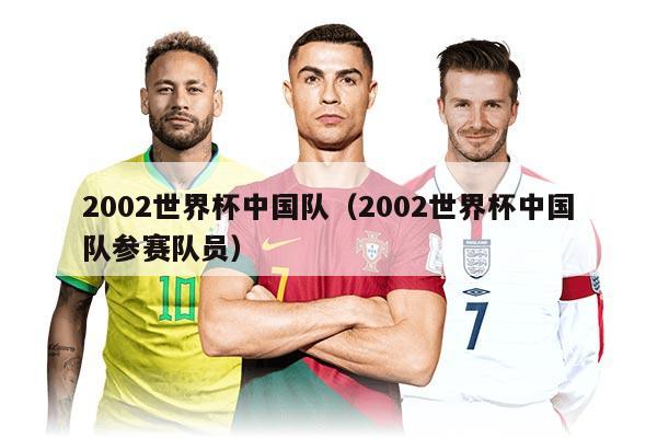 2002世界杯中國隊(2002世界杯中國隊參賽隊員)