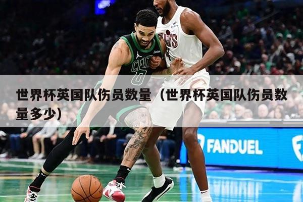 世界杯英國隊傷員數(shù)量(世界杯英國隊傷員數(shù)量多少)