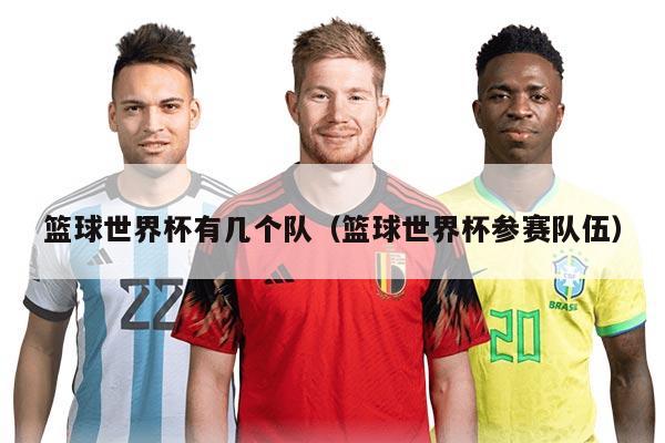 籃球世界杯有幾個(gè)隊(duì)（籃球世界杯參賽隊(duì)伍）