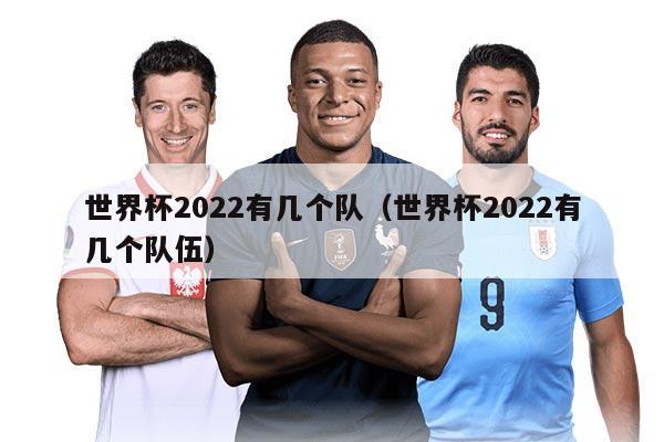 世界杯2022有幾個隊（世界杯2022有幾個隊伍）