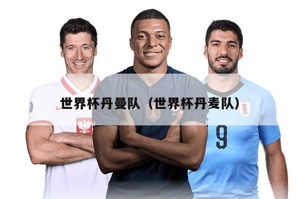 世界杯丹曼隊(duì)（世界杯丹麥隊(duì)）