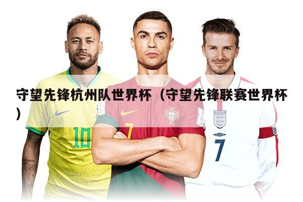 守望先鋒杭州隊(duì)世界杯(守望先鋒聯(lián)賽世界杯)