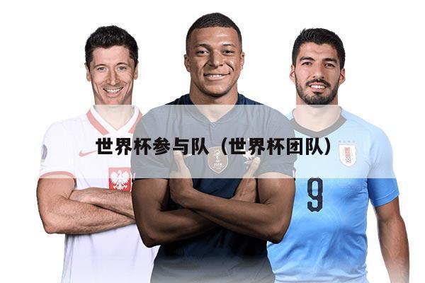 世界杯參與隊(duì)（世界杯團(tuán)隊(duì)）