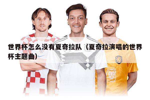 世界杯怎么沒有夏奇拉隊(夏奇拉演唱的世界杯主題曲)