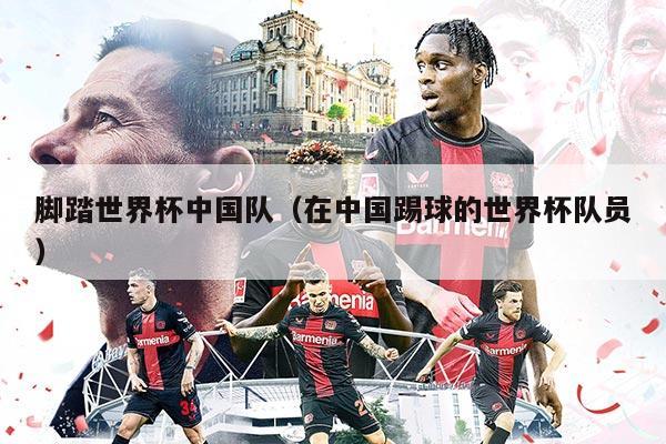 腳踏世界杯中國(guó)隊(duì)（在中國(guó)踢球的世界杯隊(duì)員）