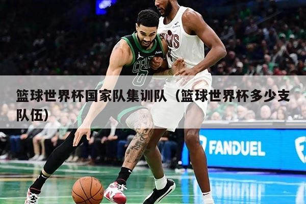 籃球世界杯國家隊(duì)集訓(xùn)隊(duì)(籃球世界杯多少支隊(duì)伍)