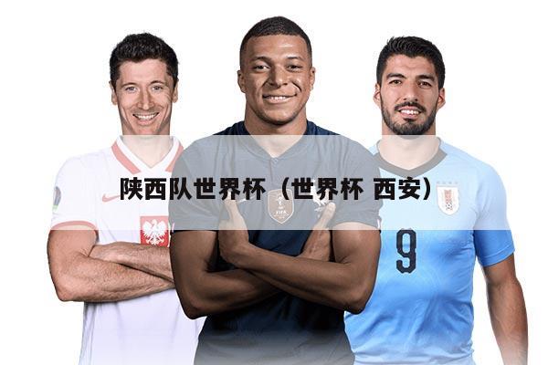 陜西隊(duì)世界杯（世界杯 西安）