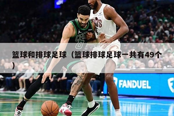 籃球和排球足球（籃球排球足球一共有49個(gè)）