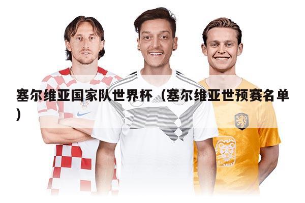 塞爾維亞國(guó)家隊(duì)世界杯（塞爾維亞世預(yù)賽名單）