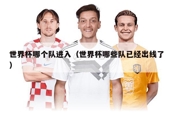世界杯哪個隊進入(世界杯哪些隊已經(jīng)出線了)