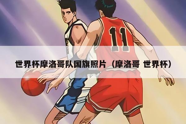 世界杯摩洛哥隊國旗照片(摩洛哥 世界杯)