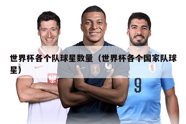 世界杯各個(gè)隊(duì)球星數(shù)量（世界杯各個(gè)國家隊(duì)球星）
