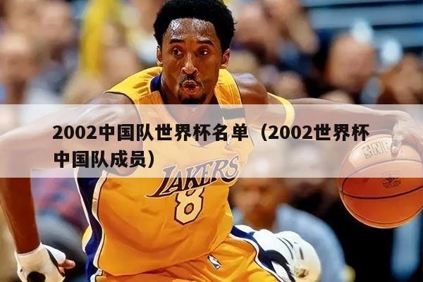 2002中國(guó)隊(duì)世界杯名單（2002世界杯中國(guó)隊(duì)成員）