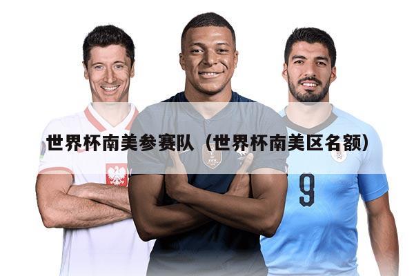 世界杯南美參賽隊（世界杯南美區(qū)名額）