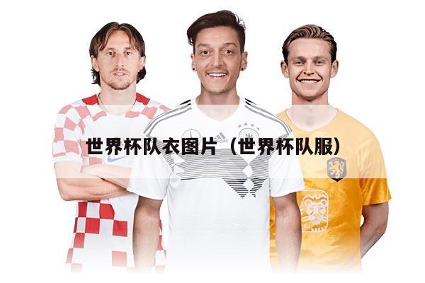 世界杯隊衣圖片（世界杯隊服）