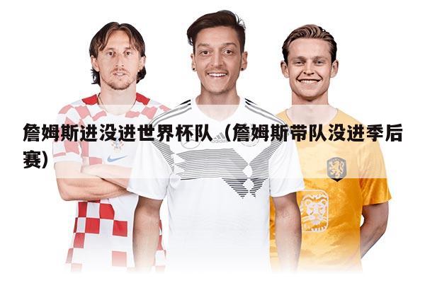 詹姆斯進沒進世界杯隊(詹姆斯帶隊沒進季后賽)