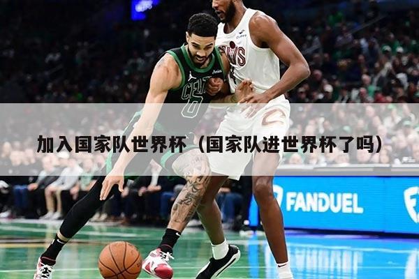 加入國家隊世界杯（國家隊進世界杯了嗎）
