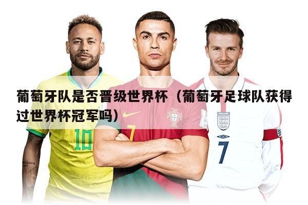 葡萄牙隊(duì)是否晉級世界杯（葡萄牙足球隊(duì)獲得過世界杯冠軍嗎）