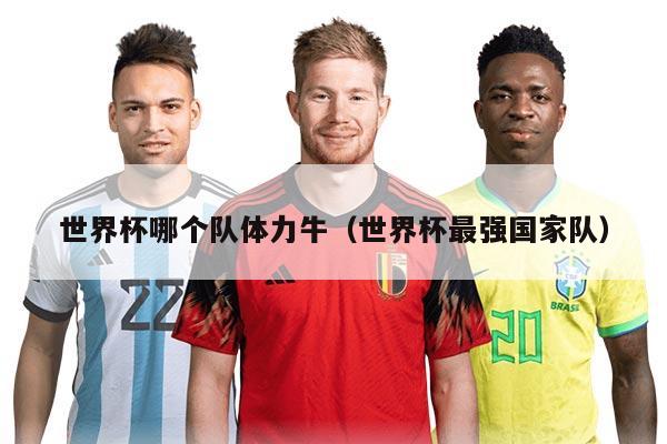世界杯哪個隊體力牛(世界杯最強國家隊)