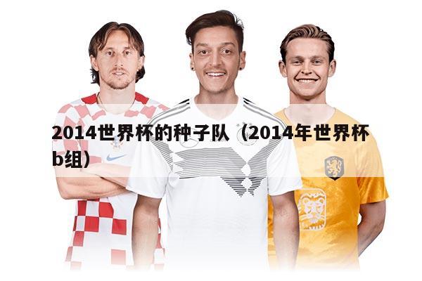 2014世界杯的種子隊（2014年世界杯b組）