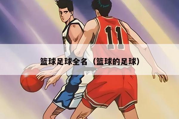 籃球足球全名（籃球的足球）