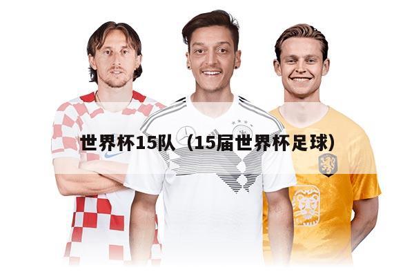 世界杯15隊（15屆世界杯足球）