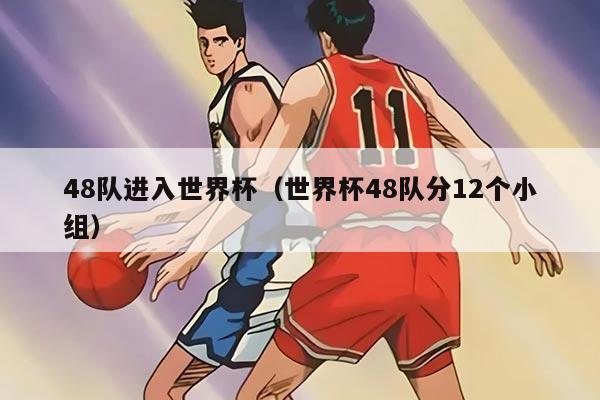 48隊(duì)進(jìn)入世界杯（世界杯48隊(duì)分12個小組）