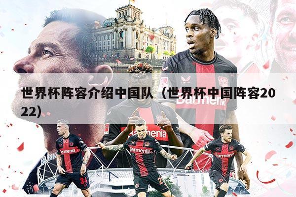 世界杯陣容介紹中國(guó)隊(duì)（世界杯中國(guó)陣容2022）