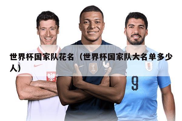 世界杯國(guó)家隊(duì)花名（世界杯國(guó)家隊(duì)大名單多少人）