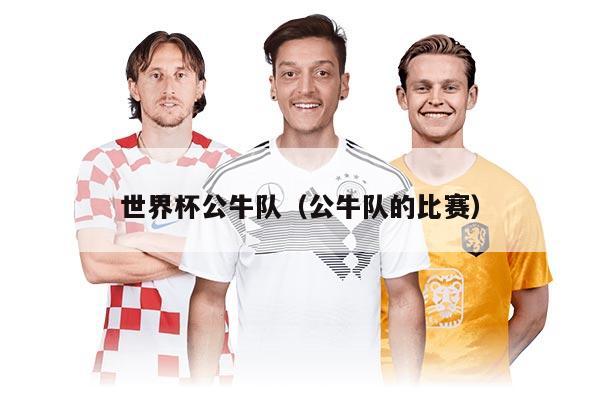 世界杯公牛隊(duì)(公牛隊(duì)的比賽)