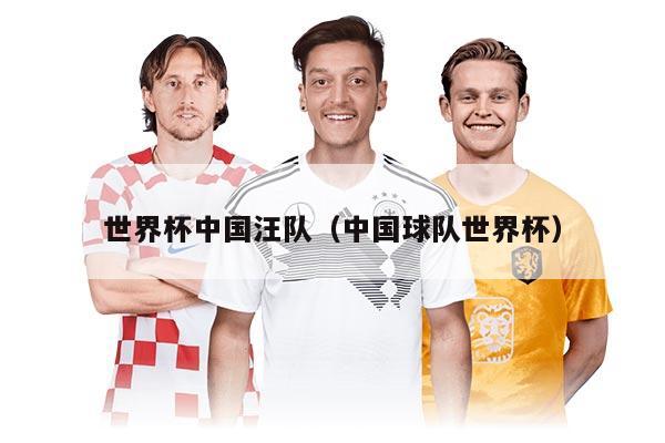 世界杯中國(guó)汪隊(duì)（中國(guó)球隊(duì)世界杯）