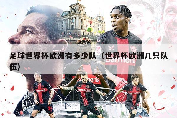 足球世界杯歐洲有多少隊（世界杯歐洲幾只隊伍）