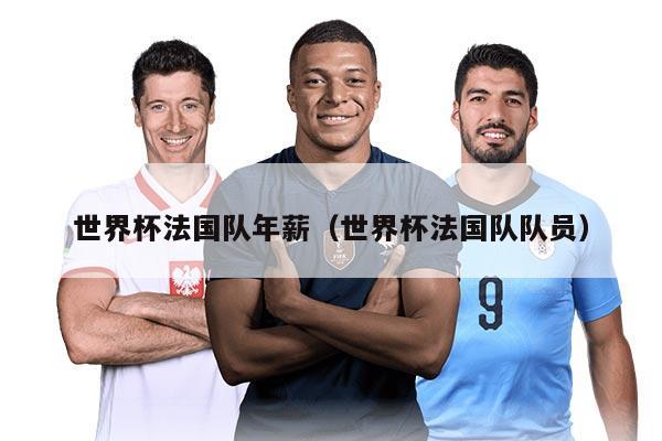 世界杯法國(guó)隊(duì)年薪（世界杯法國(guó)隊(duì)隊(duì)員）
