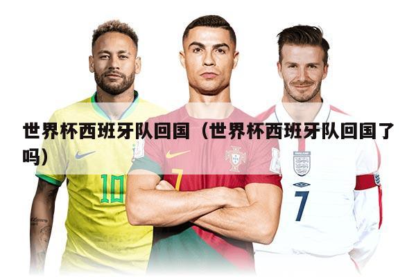 世界杯西班牙隊(duì)回國(世界杯西班牙隊(duì)回國了嗎)