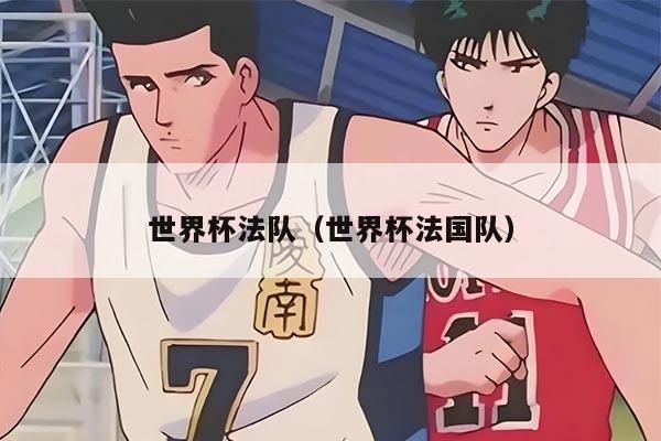 世界杯法隊(duì)（世界杯法國(guó)隊(duì)）