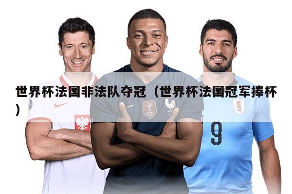世界杯法國非法隊奪冠（世界杯法國冠軍捧杯）